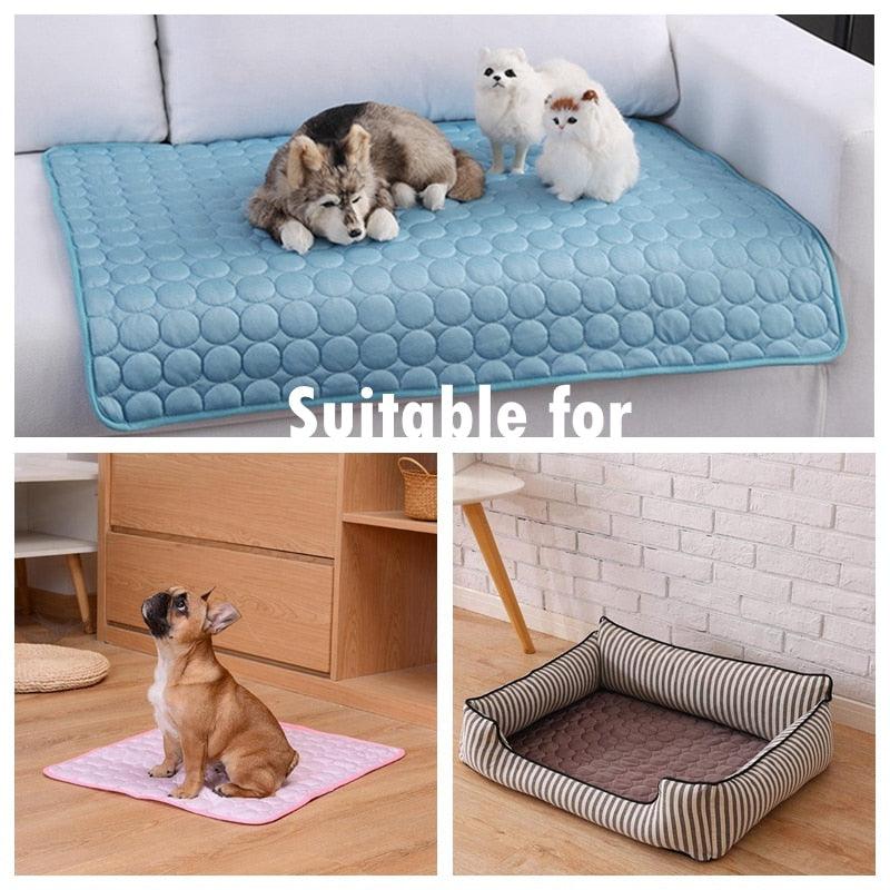 Breathable Blanket for Pets Dogs and Cats - Item - BAI-DAY