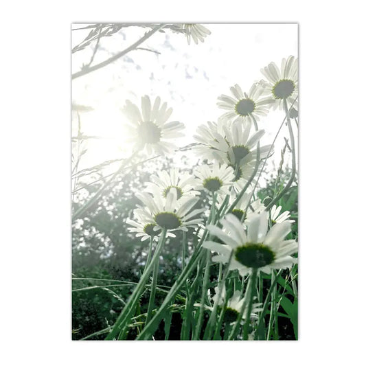 Sunny Daisies Pattern Wall Décor - Item - BAI-DAY