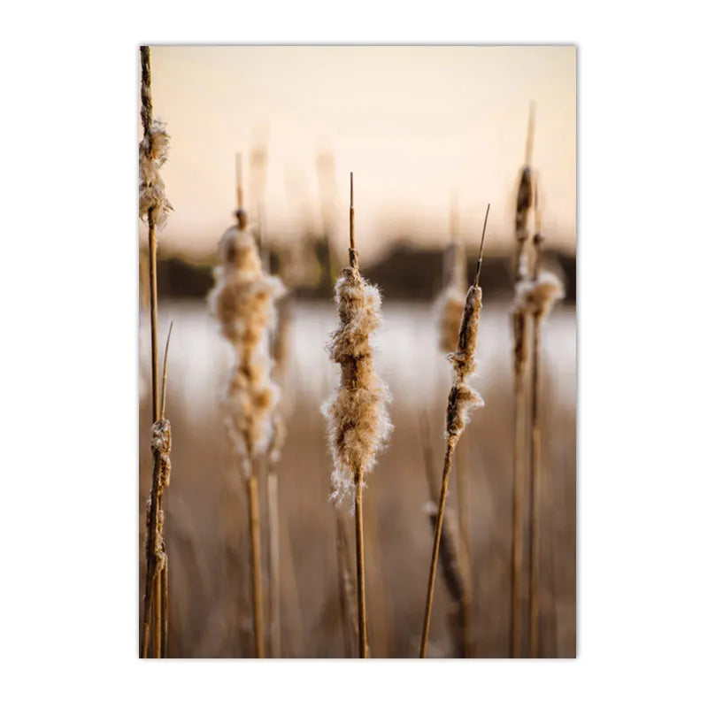 Natural Landscapes Theme Canvas Wall Decor - Item - BAI-DAY