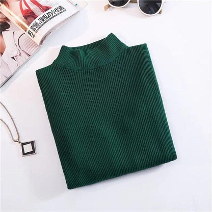 Bodycon Turtleneck Sweater - Item - BAI-DAY