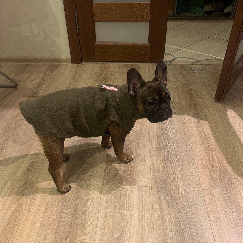 Fleece Winter Sweater for Small Dogs - Item - BAI-DAY