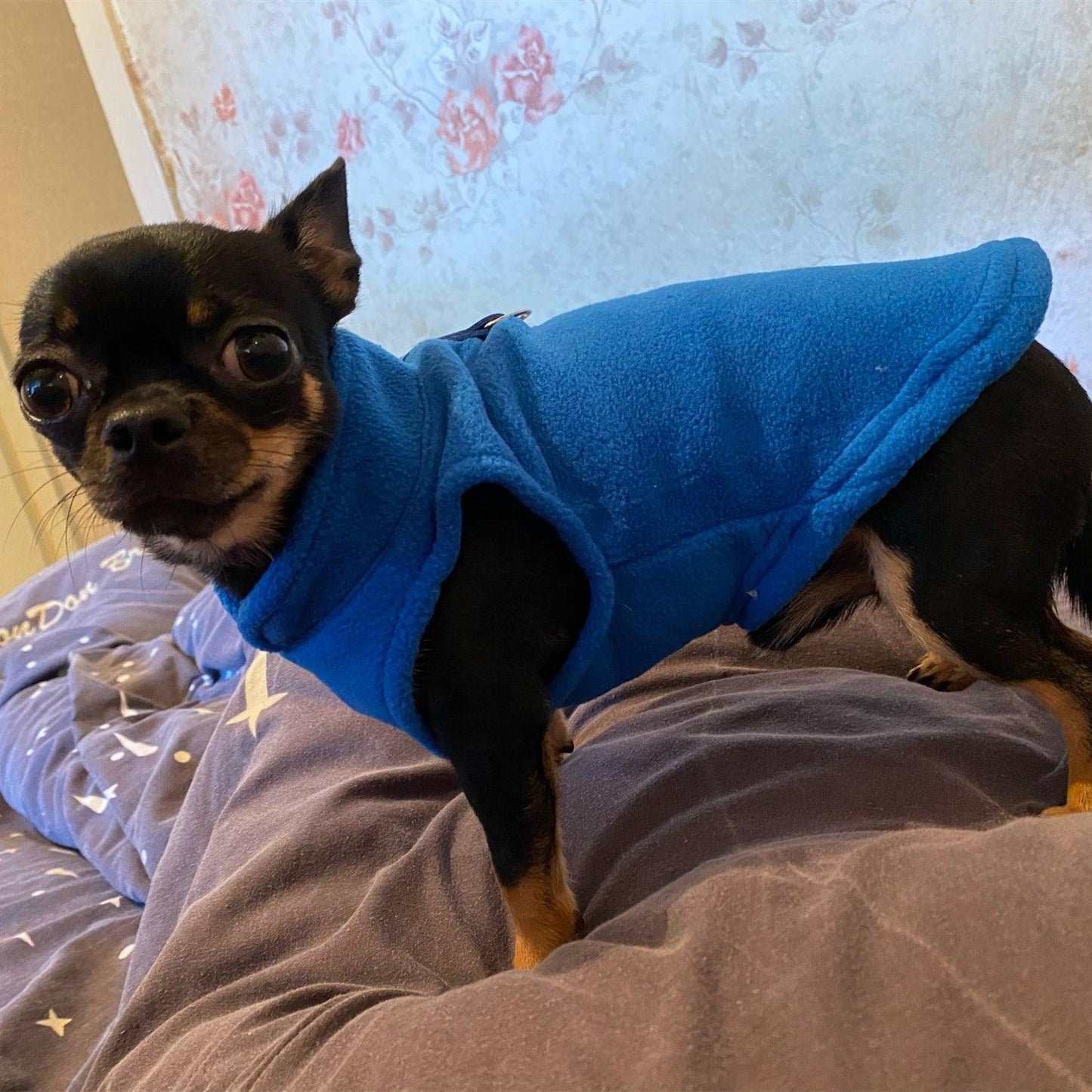 Fleece Winter Sweater for Small Dogs - Item - BAI-DAY