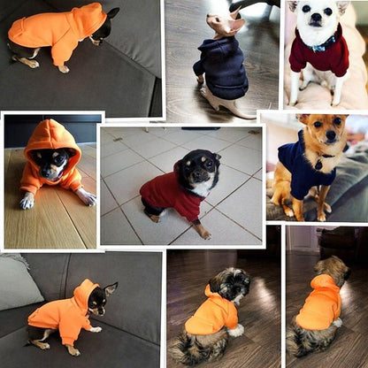 Winter Hoodie for Dog - Item - BAI-DAY