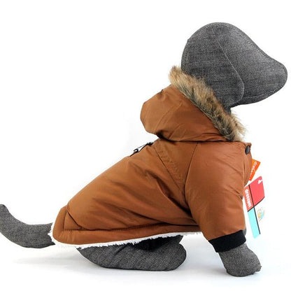 Winter Waterproof Dog Coat - Item - BAI-DAY